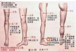 腿部按摩手法视频教程,轻松掌握专业按摩手法