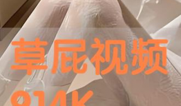 91草视频,揭秘热门短视频背后的故事与魅力