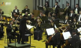 小提琴演奏视频欣赏,小提琴演奏视频中的音乐魅力赏析
