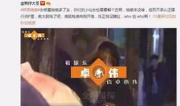1000部啪啪啪视频,揭秘1000部啪啪啪视频的精彩世界