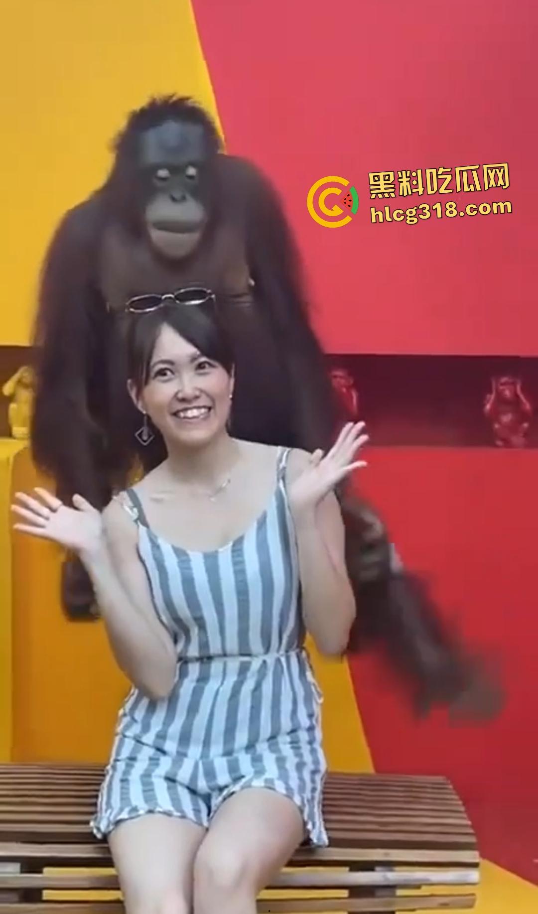 美女与猩猩合照遭“性”骚扰！亲脸抓奶牵手搞得美女笑得合不拢嘴！下辈子我也要当猩猩！-3