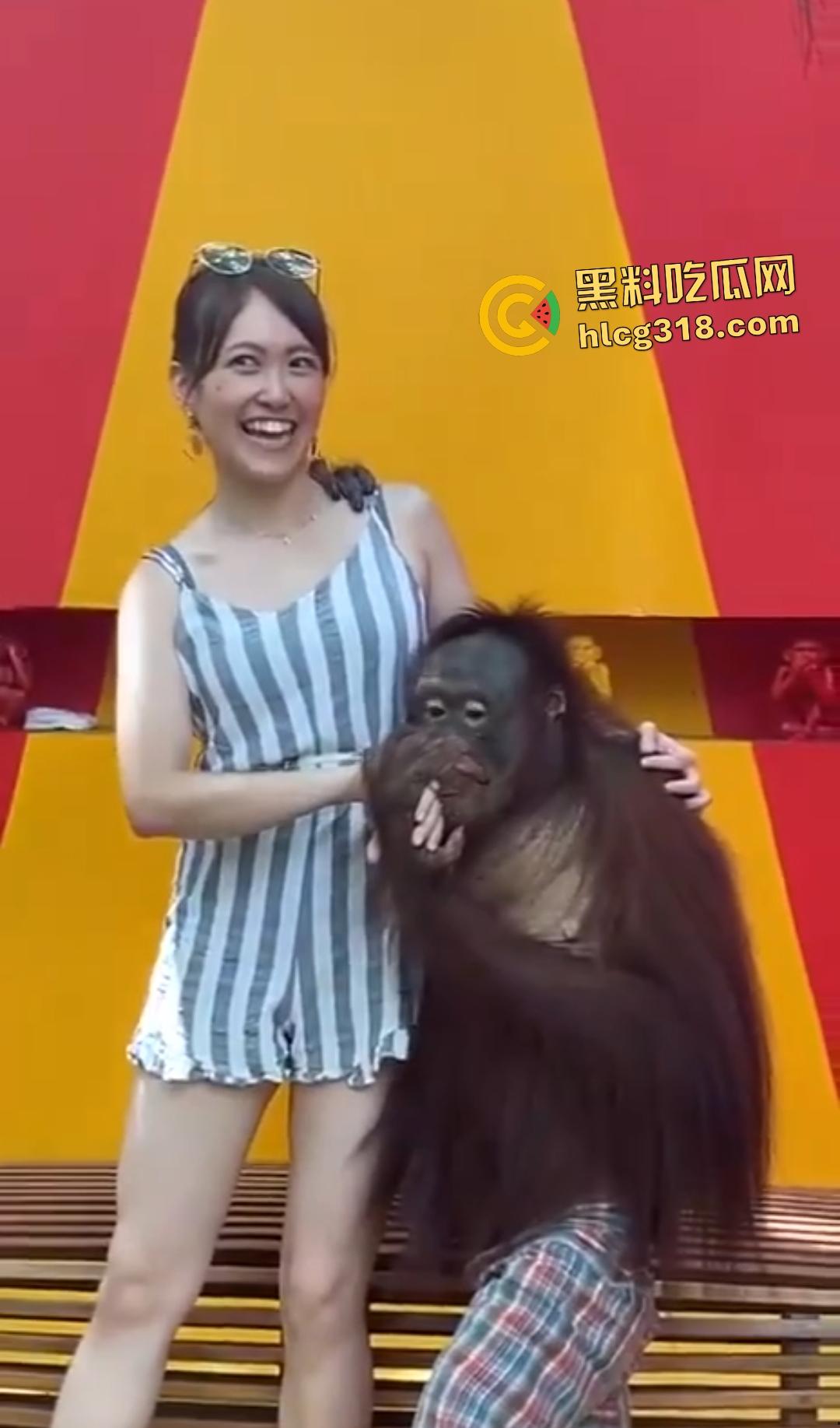 美女与猩猩合照遭“性”骚扰！亲脸抓奶牵手搞得美女笑得合不拢嘴！下辈子我也要当猩猩！-6