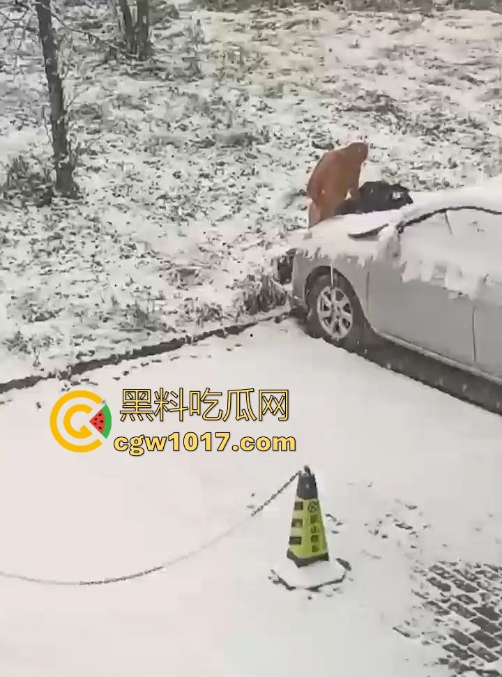 天寒地冻，大雪纷飞脱光户外开操引擎盖？冰雪热欲碰撞，性压抑爆棚狠人狂怼引擎盖，只能说是狠人！-3